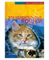 Картинка к книге Ева-Мария Гетц - Эти удивительные кошки