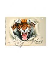 Картинка к книге Альбомы - Альбом для рисования 40 листов (АП40311) Тигр
