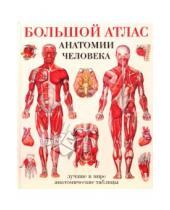 Картинка к книге Лучшие в мире анатомические таблицы - Большой атлас анатомии человека