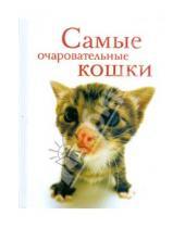 Картинка к книге Мини-фотоальбом - Самые очаровательные кошки