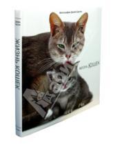 Картинка к книге Джейн Бартон - Жизнь кошек