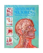 Картинка к книге Лучшие в мире анатомические таблицы - Анатомия человека. Болезни и нарушения