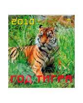 Картинка к книге Календарь настенный 220х240 - Календарь 2010 "Год тигра" (45906)