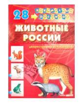 Картинка к книге Демонстрационный материал - Демонстрационный материал А4 Животные России