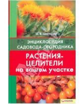 Картинка к книге Всеволодовна Мария Цветкова - Растения-целители на вашем участке