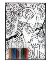 Картинка к книге Бархатные раскраски (гелевые краски) - Барахатная раскраска. Попугаи