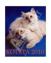 Картинка к книге Календари - Календарь 2010 "Котята"