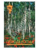 Картинка к книге Ответ - Календарь 2010 Природа России (0103)