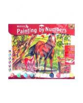 Картинка к книге Раскрашивание красками акриловыми - Набор для раскрашивания красками "Конь" (PL/64)