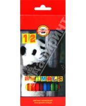Картинка к книге Цветные карандаши 12 цветов (9-14) - Карандаши 12 цветов "Животные" (3552)