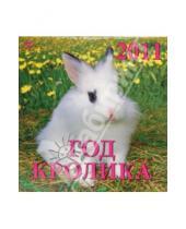 Картинка к книге Календарь настенный 160х170 - Календарь. 2011 год. Год кролика (30107)