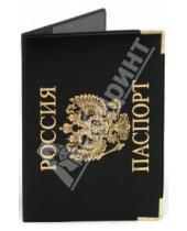 Картинка к книге Топ-спин - Обложка для паспорта "Золотой стандарт" с уголками (ОДЗС-01)