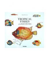 Картинка к книге Samuel Fallours - Tropical Fishes of the East Indies