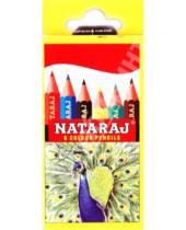 Картинка к книге Nataraj - Карандаши 6 цветов (01Е97)