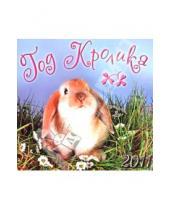 Картинка к книге Календари настенные (12 листов) - Календарь 2011 "Год кролика"