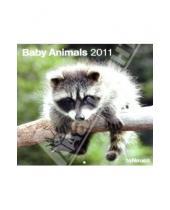 Картинка к книге Календарь 300х300 - Календарь 2011 "Дети животных" (4353-6)
