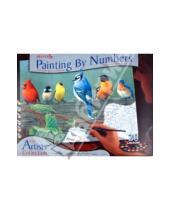 Картинка к книге Раскрашивание красками акриловыми - Набор для раскрашивания красками "Птицы" (PBNACL5)