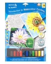 Картинка к книге Раскрашивание карандашами (цветные) - Набор для раскрашивания "Цветы" (PBN INTRO1)