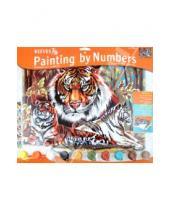 Картинка к книге Раскрашивание красками акриловыми - Набор для раскрашивания "Тигры" (PL/43)