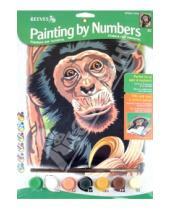 Картинка к книге Раскрашивание красками акриловыми - Набор для раскрашивания "Шимпанзе" (PPNJ52)