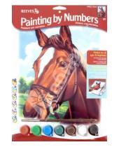 Картинка к книге Раскрашивание красками акриловыми - Набор для раскрашивания "Лошадь" (PPPNJ11)