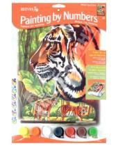 Картинка к книге Раскрашивание красками акриловыми - Набор для раскрашивания "Тигры" (PPPNJ39)