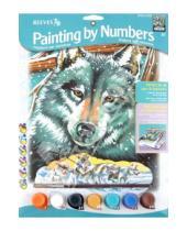 Картинка к книге Раскрашивание карандашами (цветные) - Набор для раскрашивания "Волк" (PPPNJ43)