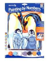 Картинка к книге Раскрашивание красками акриловыми - Набор для раcкрашивания "Пингвины" (PPPNJ47)