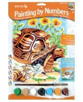 Картинка к книге Раскрашивание карандашами (цветные) - Набор для раскрашивания "Черепаха и улитка" (PPPNJ61)