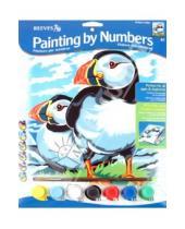 Картинка к книге Раскрашивание карандашами (цветные) - Набор для раскрашивания "Тупики полярные" (PPPNJ64)