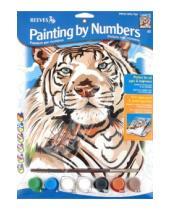 Картинка к книге Раскрашивание красками акриловыми - Набор для раскрашивания "Белый тигр" (PPPNJ66)