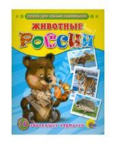Картинка к книге Обучающие карточки - Обучающие карточки. Животные России