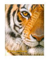Картинка к книге Дневник школьный - Дневник школьный для 5-11 классов "Тигр" (18948)