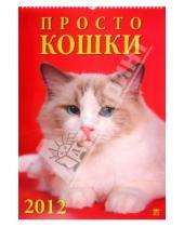 Картинка к книге Календарь настенный 350х500 - Календарь на 2012 год. "Просто кошки" (12210)