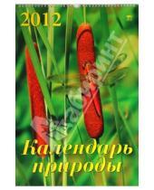 Картинка к книге Календарь настенный 350х500 - Календарь на 2012 год. Календарь природы (12213)
