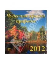 Картинка к книге Календарь настенный 220x250 - Календарь на 2012 год. Чудесные краски природы (45203)