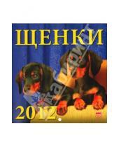 Картинка к книге Календарь настенный 160х170 - Календарь 2012 "Щенки" (30204)