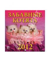 Картинка к книге Календарь настенный 160х170 - Календарь 2012 "Забавные котята" (30205)