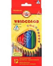 Картинка к книге Цветные карандаши 12 цветов (9-14) - Карандаши 12 цветов "Tricolor", трехгранные (3132/12)