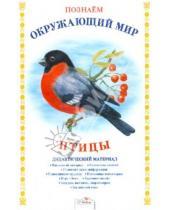 Картинка к книге Т. Куликовская - Дидактический материал "Познаем окружающий мир". "Птицы"