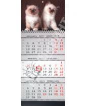 Картинка к книге Календари - Календарь квартальный на 2012 год "Котята" (22632)