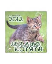 Картинка к книге Календарь перекидной - Календарь на 2012 год "Милые котята"