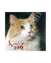 Картинка к книге Календари настенные (6 листов) - Календарь 2012 "Кошки"