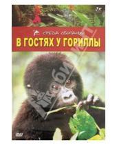 Картинка к книге Л. Дэйвис - В гостях у гориллы (DVD)