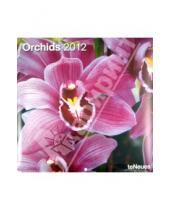 Картинка к книге Календарь 300х300 - Календарь на 2012 год "Орхидеи" (5092-3)