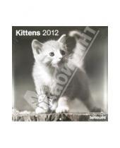 Картинка к книге Календарь 300х300 - Календарь на 2012 год "Котята" (5094-7)