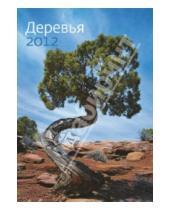Картинка к книге Контэнт - Календарь 2012 "Деревья"