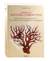 Картинка к книге Rainer Willmann Jes, Rust Irmgard, Musch - Cabinet of Natural Curiosities