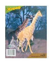Картинка к книге Животные - Жираф (M020)