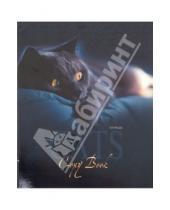 Картинка к книге Тетради - Тетрадь "Домашние кошки" 48л., дизайн 5 (ТКЛ483482)